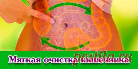 Мягкая очистка кишечника | Полезные советы