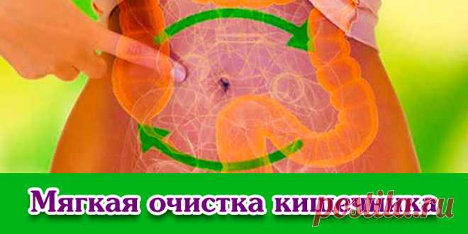 Мягкая очистка кишечника | Полезные советы