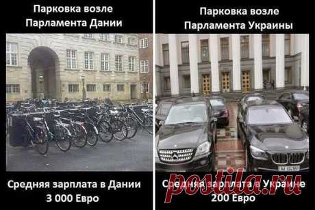 Сам себе прокурор | Лаборатория правды