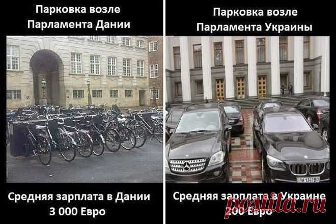 Сам себе прокурор | Лаборатория правды
