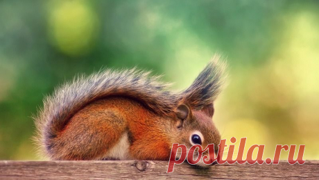 Для моих друзей!