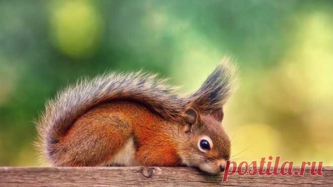 Для моих друзей!