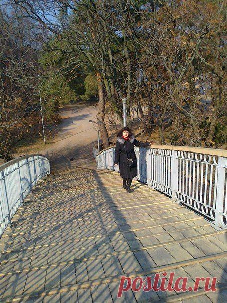 №1 
10 000 рублей в день без навыков и трудностей, легко!
http://help-in.ru/Z9p

Давно искала,что-то подобное.

Есть правда на Фейсбуке - тоже как альтернатива,
а может и даже поближе к реальности:

№ 2 
БЫСТРЫЕ ДЕНЬГИ В FACEBOOK (Видеокурс)
http://help-in.ru/Z9G