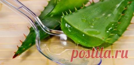 Она втирала алоэ вера в волосы. Что произойдет через 5 минут удивит Вас!