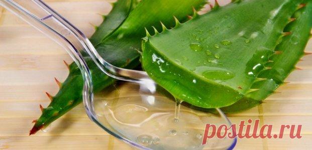 Она втирала алоэ вера в волосы. Что произойдет через 5 минут удивит Вас!