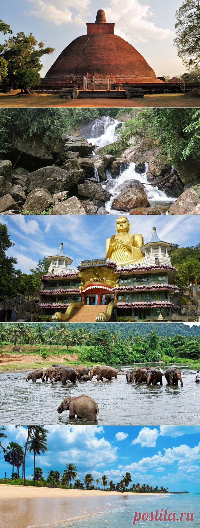 6 причин уехать на Шри-Ланку