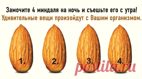 Замочите 4 миндаля на ночь и съешьте после пробуждения! Кое-что невероятное случится с Вашим телом. — Полезные советы