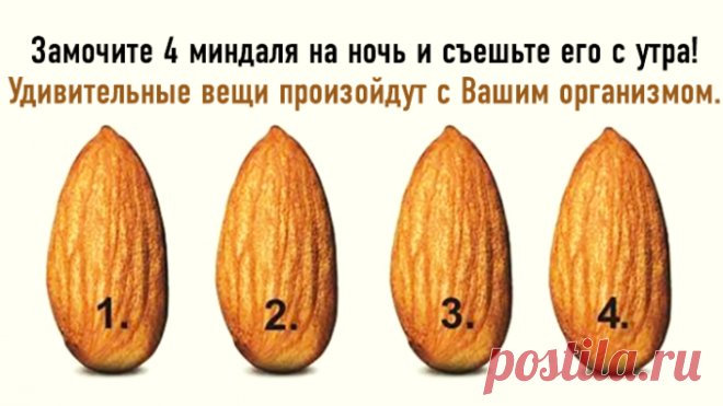 Замочите 4 миндаля на ночь и съешьте после пробуждения! Кое-что невероятное случится с Вашим телом. — Полезные советы