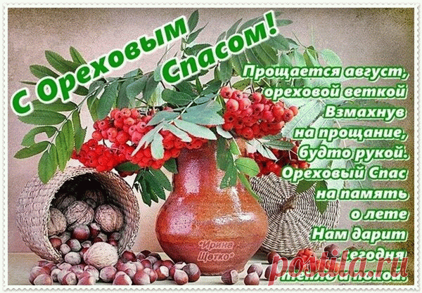 Желаю вам света и тепла. Пусть вашу дорогу всегда освещает солнце. Ваши близкие всегда поддерживают вас. С вами Бог. Помните об этом.
