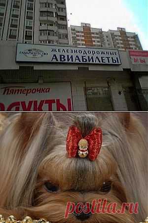 Самый искренний смех... | "Бывает же такое!"