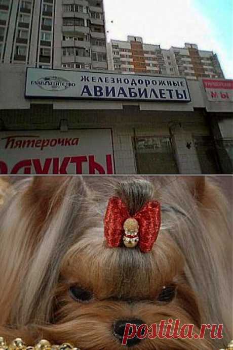 Самый искренний смех... | &quot;Бывает же такое!&quot;