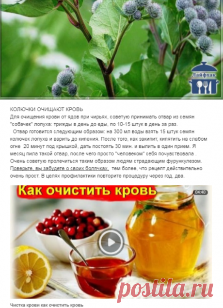 (3) Одноклассники