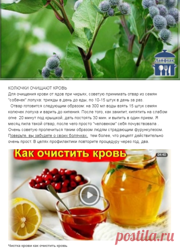 (3) Одноклассники