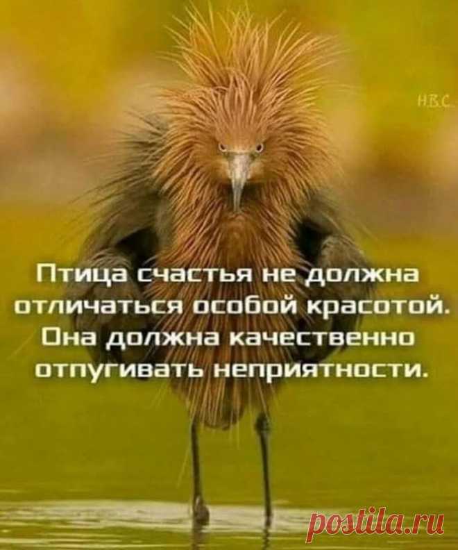 Свежий заряд позитива: 18 классных анекдотов и шуток в картинках - 14 Февраля 2021 - NewRezume.org