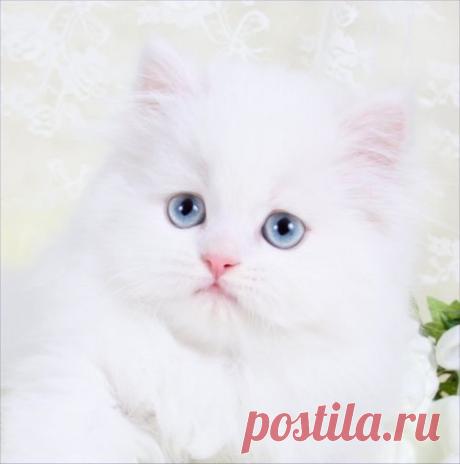 Интересные новости