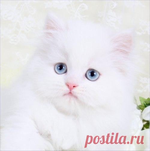 Интересные новости