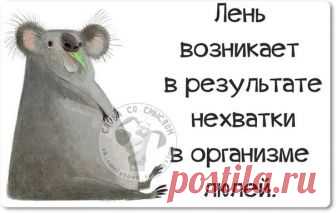 Прикольные картинки с позитивными фразочками (25 штук) » RadioNetPlus.ru развлекательный портал