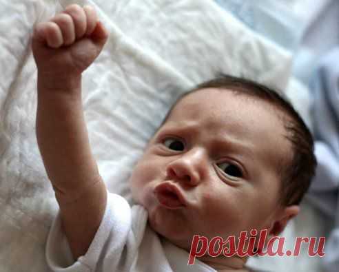 Сиську мне! Быстроооооо!!! 😃