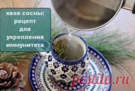 Сосновые иголки: рецепт для укрепления иммунитета - CELEBNIK. RU   Для укрепления иммунитета 2 ст.л. промытой, измельченной хвои сосны или ели...