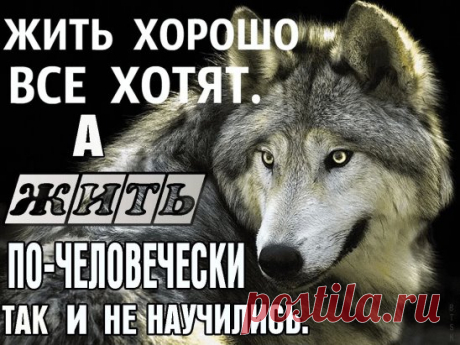 (99) Одноклассники