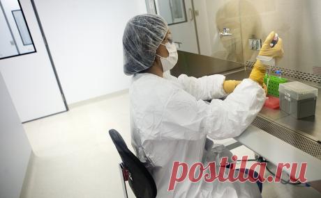 ВОЗ одобрила применение первой вакцины от малярии для детей. Всемирная организация здравоохранения (ВОЗ) рекомендовала к широкому использованию вакцину от малярии RTS, S среди детей в странах Африки.