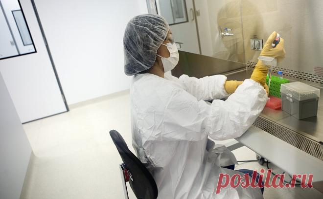 ВОЗ одобрила применение первой вакцины от малярии для детей. Всемирная организация здравоохранения (ВОЗ) рекомендовала к широкому использованию вакцину от малярии RTS, S среди детей в странах Африки.