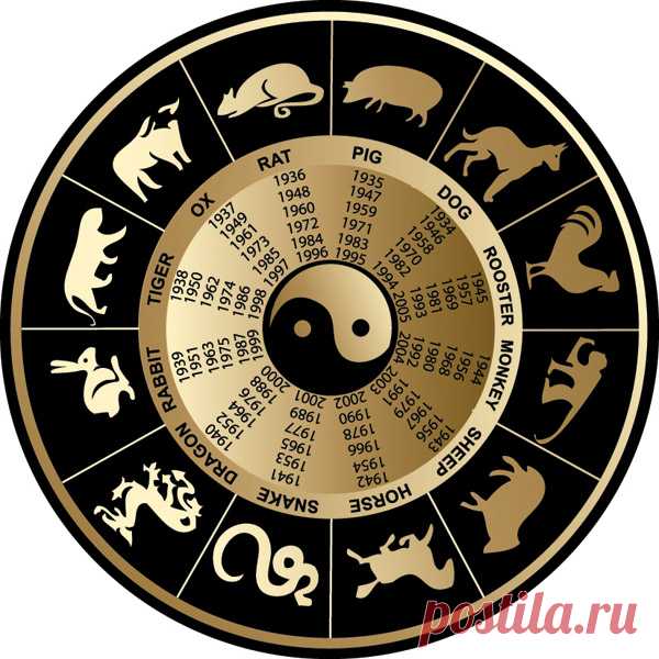 Арифметика небес - Мастерская жизни "Растимул"