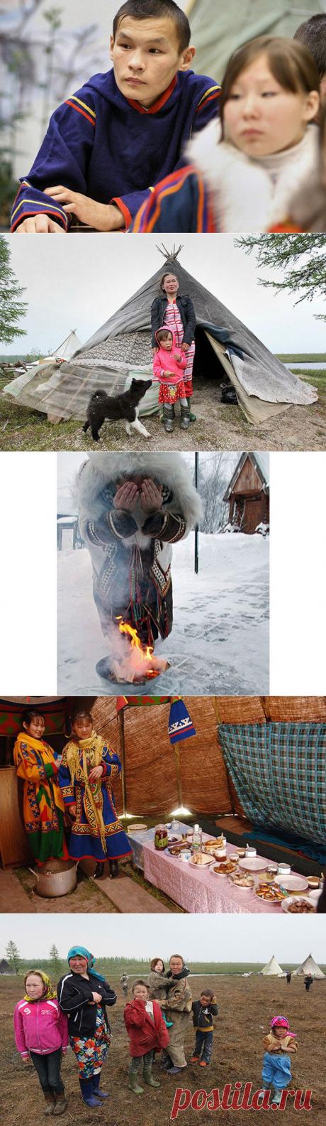 Увезут в тундру: Как ненцы отмечают свадьбу • НОВОСТИ В ФОТОГРАФИЯХ