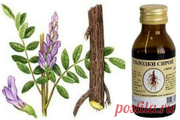 Травяные чаи от вирусов, поражающих дыхательные пути | Не только чай | Яндекс Дзен