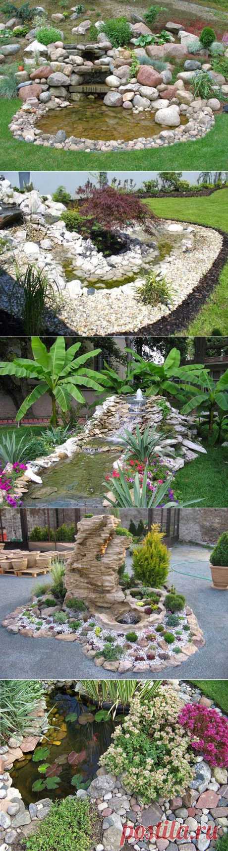 Всё о цветах и садоводстве » Действительно всё. » Page 11