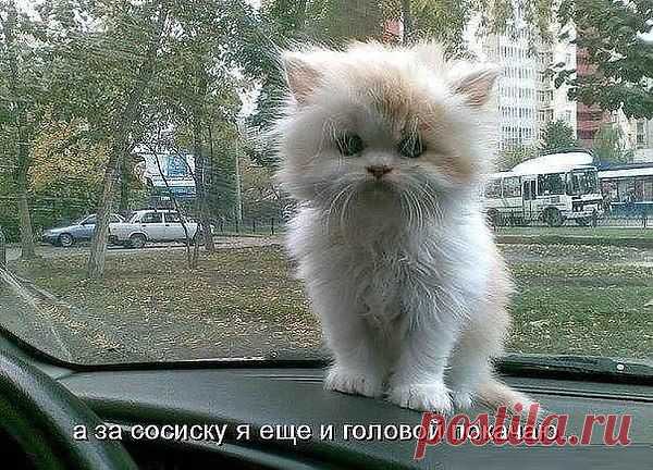 Интересные новости