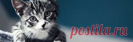 Рукоделие, вязание, вязание спицами, вязание на спицах, вязание крючком, советы по вязанию, статьи о вязании, вязание статьи, схемы вязания - myhauze.ru » Страница 18