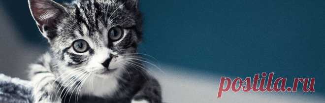 Рукоделие, вязание, вязание спицами, вязание на спицах, вязание крючком, советы по вязанию, статьи о вязании, вязание статьи, схемы вязания - myhauze.ru » Страница 18