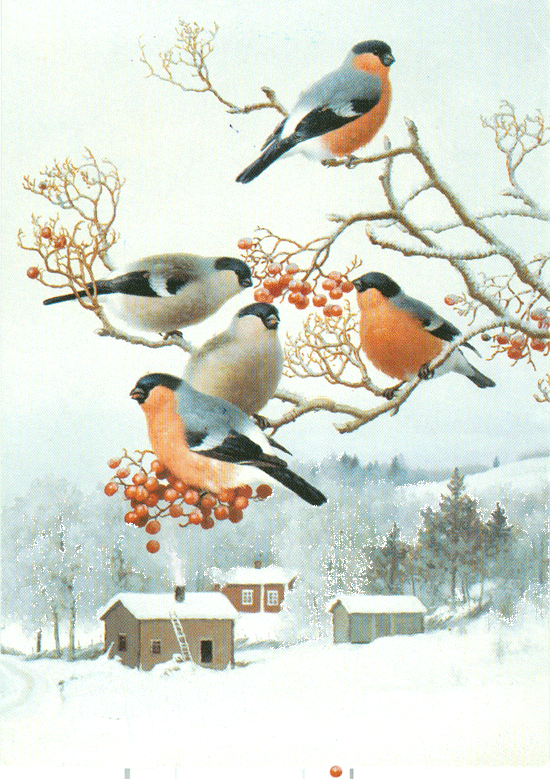 ♡ Музыкальная Открытка — Снегири