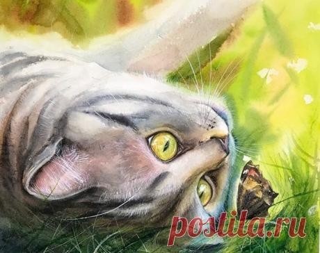 Художница Maria Raczynska и ее верные друзья