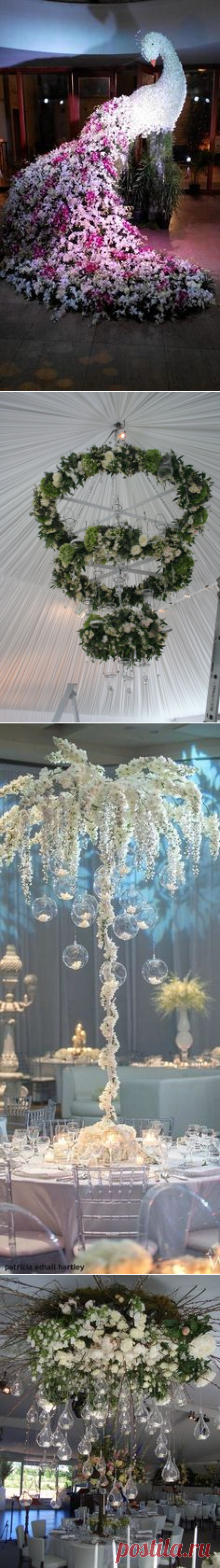 (491) Pinterest