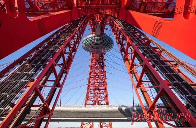 Вантовый мост с летающей тарелкой в Серебряном Бору - Путешествуем вместе