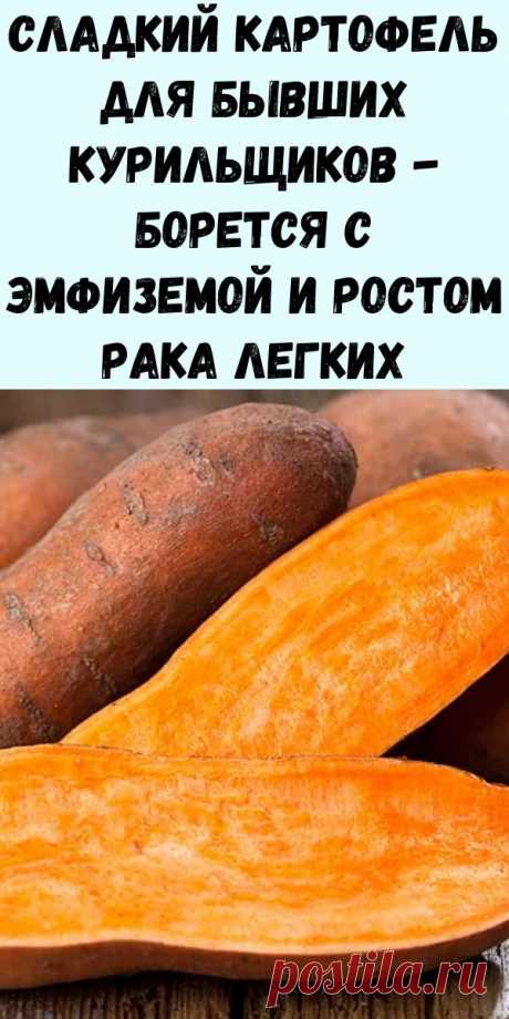Сладкий картофель для бывших курильщиков: доказано, что он борется с эмфиземой и ростом рака легких - Упражнения и похудение