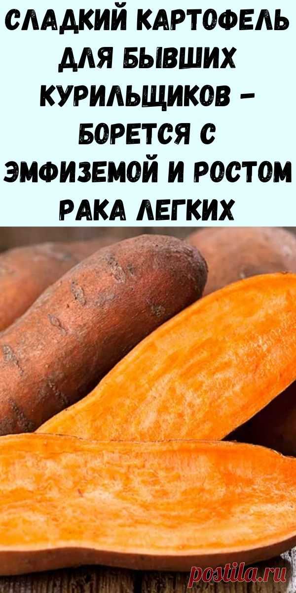 Сладкий картофель для бывших курильщиков: доказано, что он борется с эмфиземой и ростом рака легких - Упражнения и похудение