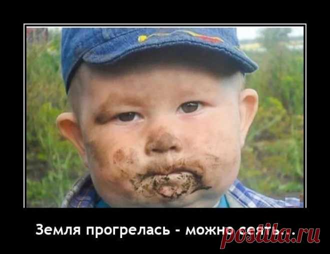 Земля прогрелась - можно сеять! Демотиваторы :)
