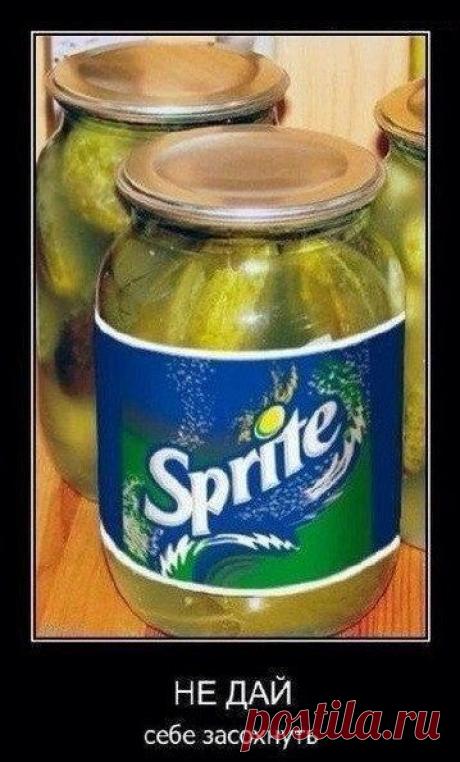 Убойная порция Демотиваторов | ВШоке.инфо - шокирующие новости, факты, юмор и многое другое!