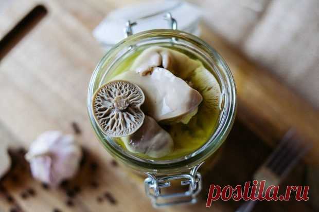 Маринованные грибы синеножки на зиму — Домашняя кулинария