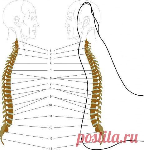 Массаж стопы снимает боли в спине!