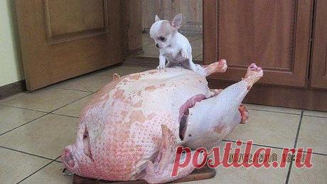 Интересные новости