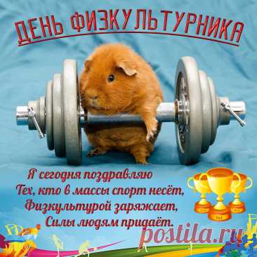 С Днем физкультурника!
Пример хороший подаете,
Ведь физкультура — это жизнь.
А тот, кто спорт не забывает,
Сумеет многого достичь!