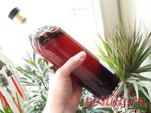 Кедровая настойка