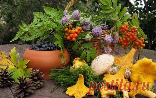 Дары природы. часть 2.