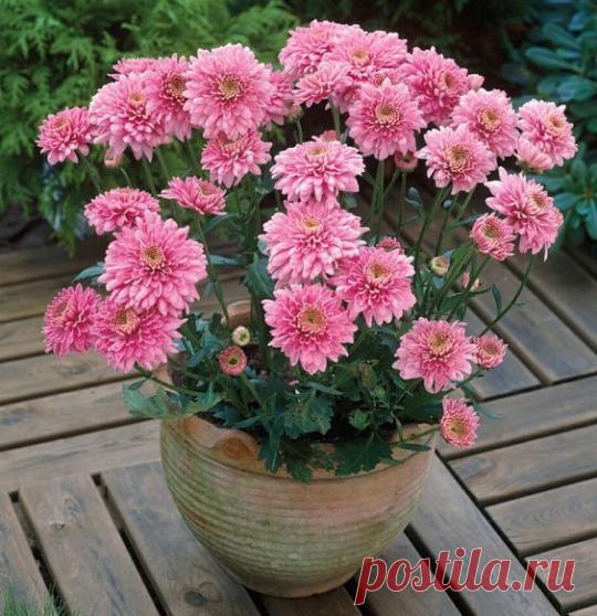 .....................