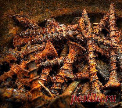 Садоводческие тайны / Домоседы