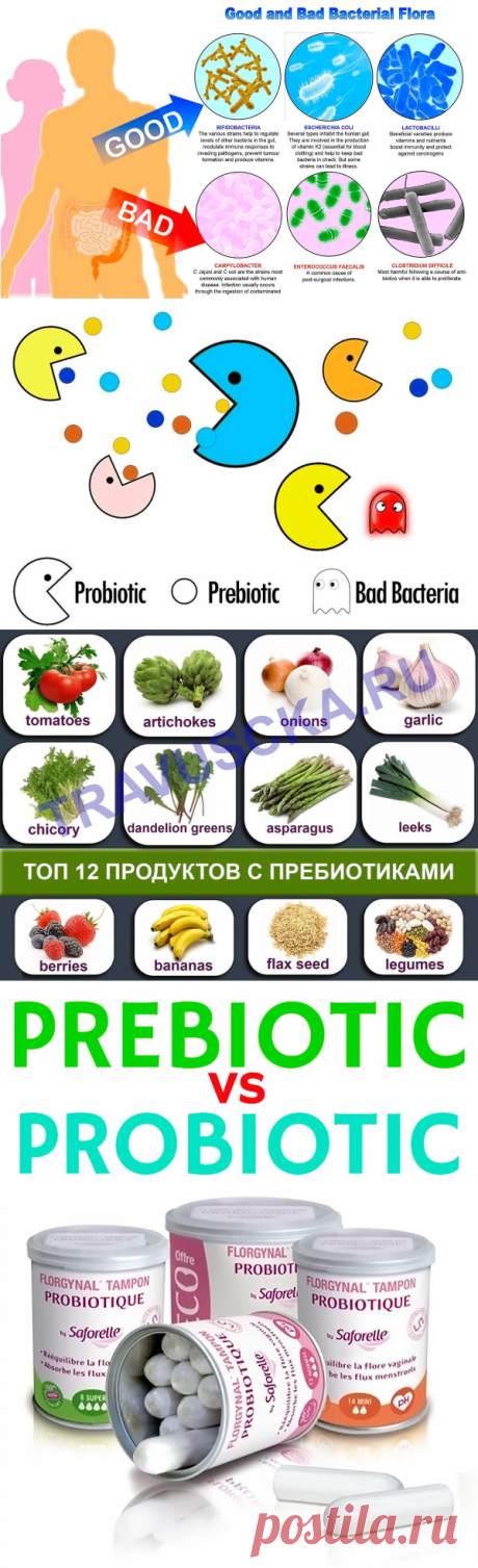 Пробиотики – что это такое, их помощь от дисбактериоза кишечника